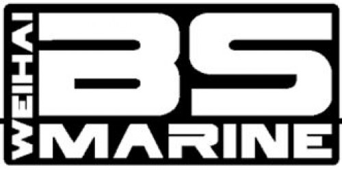 bs marine logo
